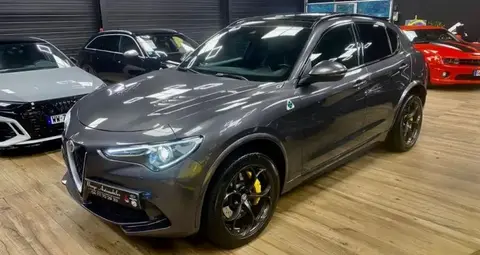 Used ALFA ROMEO STELVIO Petrol 2019 Ad 