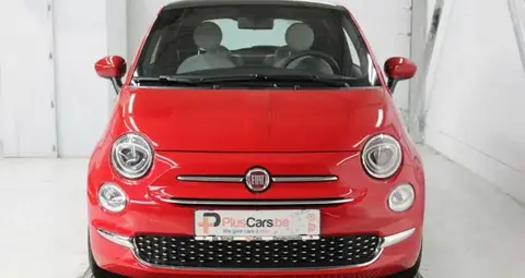 Used FIAT 500 Petrol 2023 Ad 