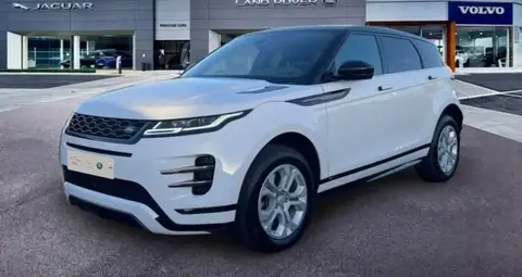 Used LAND ROVER RANGE ROVER EVOQUE Not specified 2019 Ad 