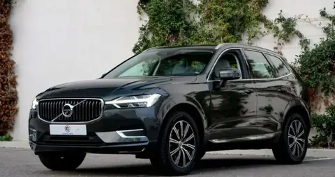 Used VOLVO XC60 Petrol 2019 Ad 