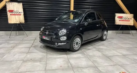 Used FIAT 500 Petrol 2023 Ad 