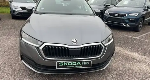 Used SKODA OCTAVIA Petrol 2022 Ad 