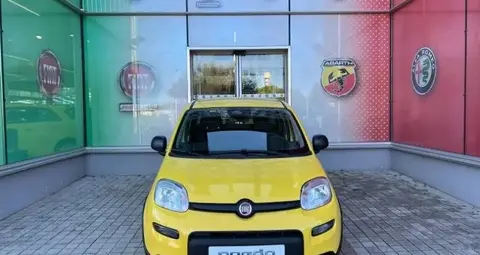 Used FIAT PANDA Hybrid 2024 Ad 