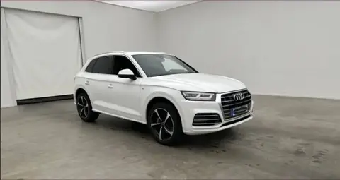 Used AUDI Q5 Diesel 2017 Ad 