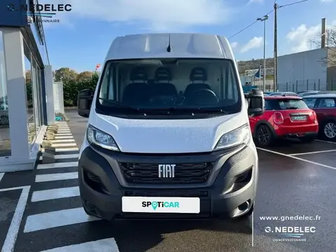 Annonce FIAT DUCATO Diesel 2022 d'occasion 