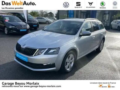 Used SKODA OCTAVIA Diesel 2019 Ad 