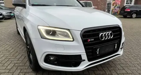 Annonce AUDI SQ5 Diesel 2016 d'occasion 