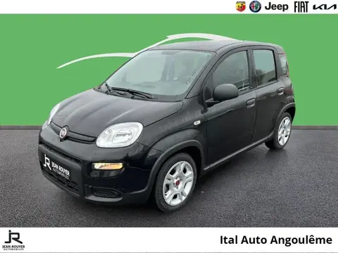 Used FIAT PANDA Petrol 2024 Ad 