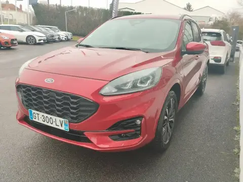 Annonce FORD KUGA Hybride 2024 d'occasion 