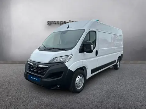 Used OPEL MOVANO Diesel 2023 Ad 