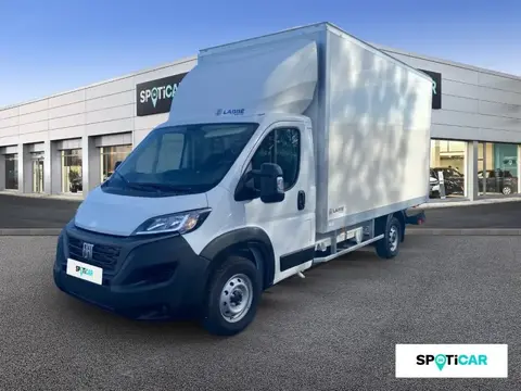 Annonce FIAT DUCATO Diesel 2024 d'occasion 