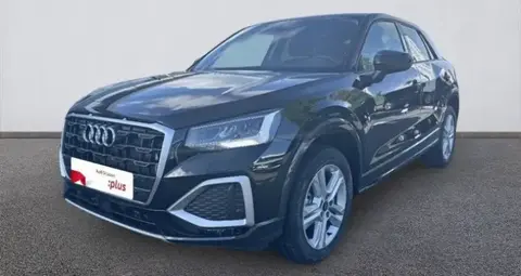 Annonce AUDI Q2 Essence 2024 d'occasion 