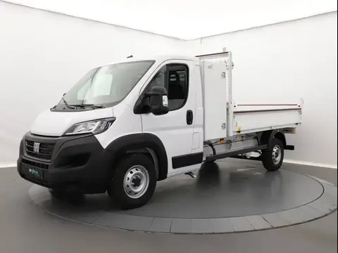 Annonce FIAT DUCATO Diesel 2024 d'occasion 