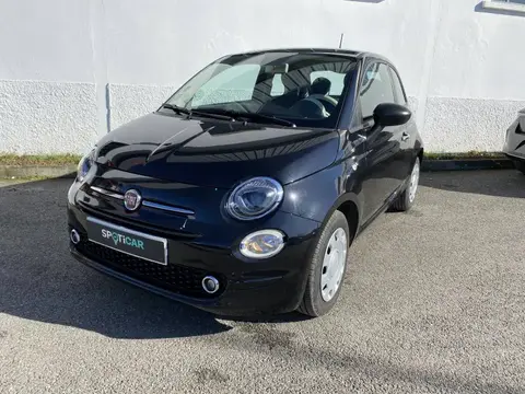 Used FIAT 500 Petrol 2023 Ad 