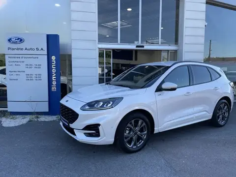 Annonce FORD KUGA Hybride 2023 d'occasion 