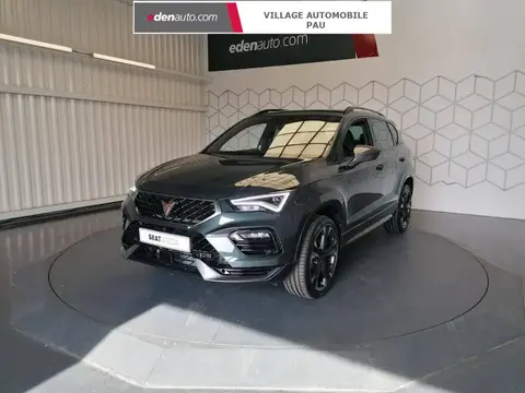 Annonce CUPRA ATECA Essence 2024 d'occasion 