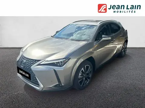 Annonce LEXUS UX Essence 2024 d'occasion 