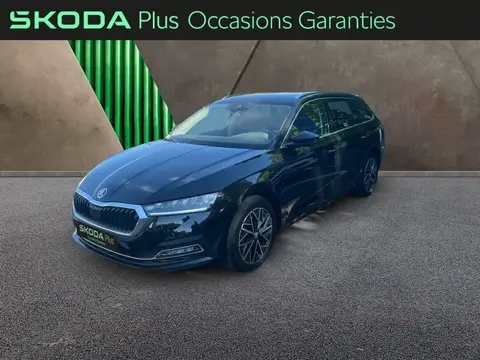 Annonce SKODA OCTAVIA Diesel 2023 d'occasion 
