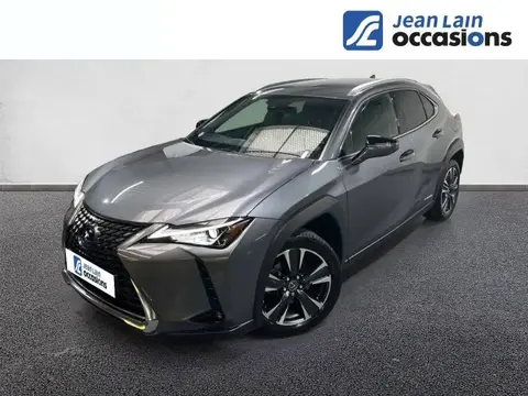 Used LEXUS UX Hybrid 2021 Ad 