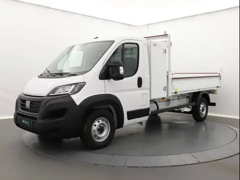 Annonce FIAT DUCATO Diesel 2024 d'occasion 