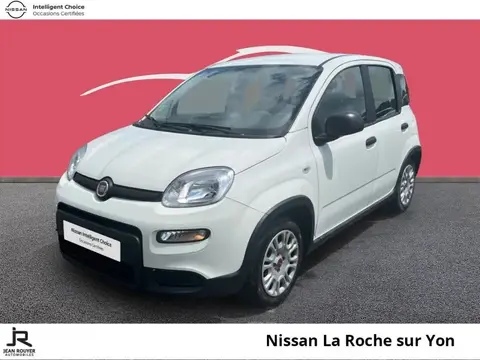 Annonce FIAT PANDA Essence 2023 d'occasion 