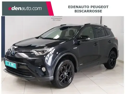 Used TOYOTA RAV4 Petrol 2018 Ad 