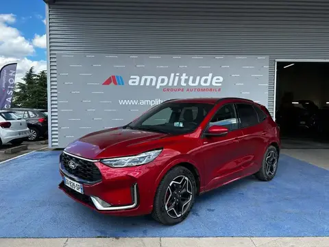 Annonce FORD KUGA Hybride 2024 d'occasion 