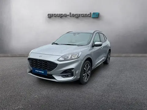 Annonce FORD KUGA Hybride 2024 d'occasion 