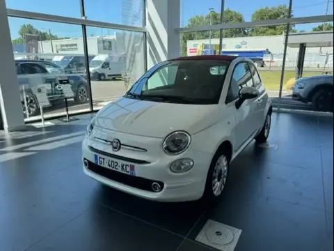 Used FIAT 500 Petrol 2023 Ad 