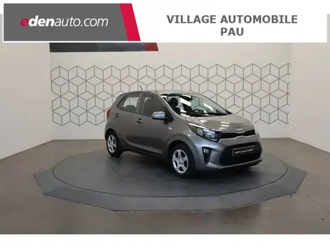 Used KIA PICANTO Petrol 2023 Ad 