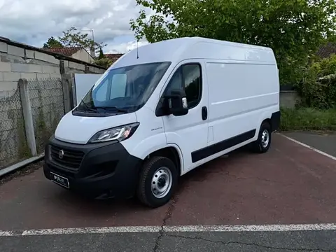 Used FIAT DUCATO Diesel 2021 Ad 