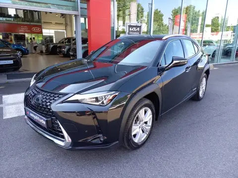 Used LEXUS UX Hybrid 2020 Ad 