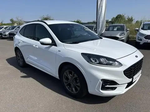 Used FORD KUGA Hybrid 2021 Ad 