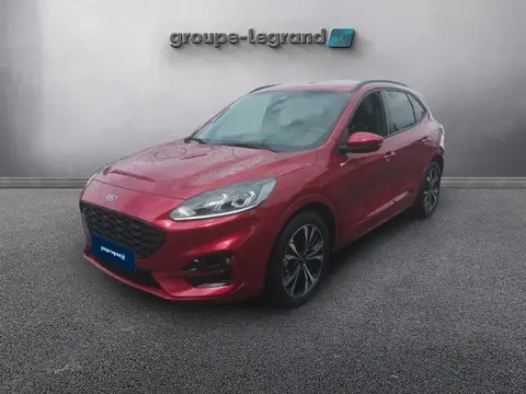 Annonce FORD KUGA Hybride 2024 d'occasion 