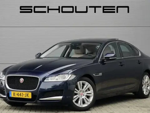 Used JAGUAR XF Petrol 2021 Ad 