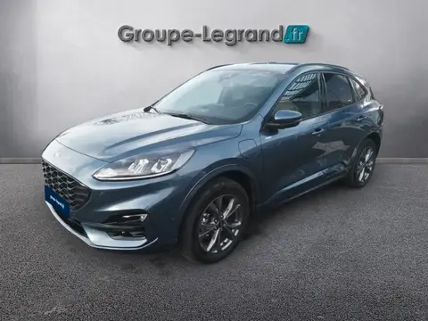 Used FORD KUGA Hybrid 2023 Ad 