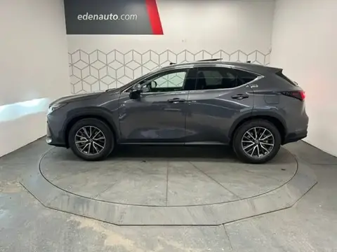 Annonce LEXUS NX Hybride 2024 d'occasion 