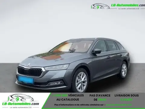 Annonce SKODA OCTAVIA Diesel 2023 d'occasion 