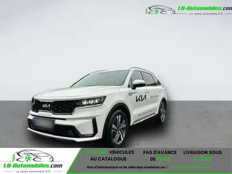 Annonce KIA SORENTO Diesel 2023 d'occasion 