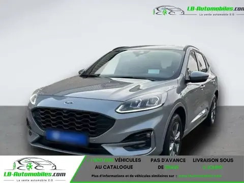 Used FORD KUGA Petrol 2022 Ad 