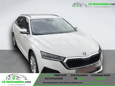 Used SKODA OCTAVIA Diesel 2024 Ad 