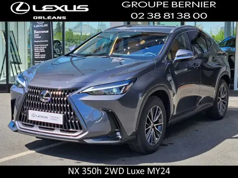 Used LEXUS NX Petrol 2023 Ad 