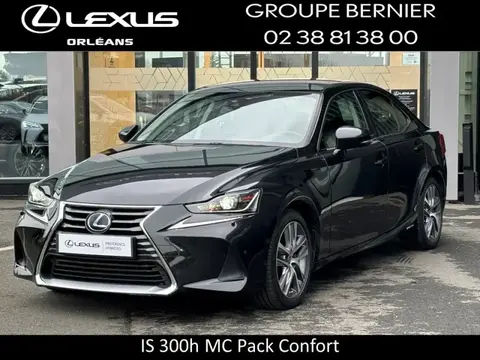 Used LEXUS IS Hybrid 2020 Ad 