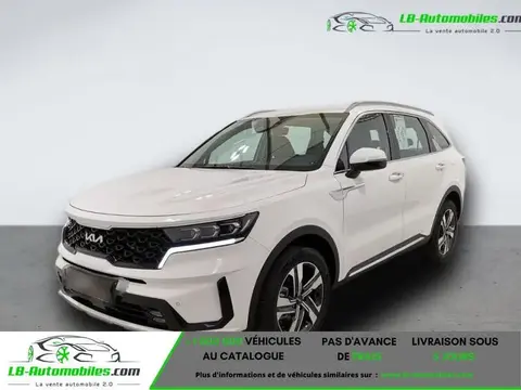 Annonce KIA SORENTO Hybride 2023 d'occasion 