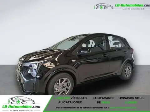 Used KIA PICANTO Petrol 2024 Ad 