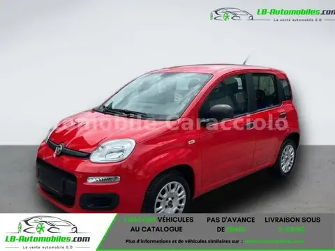 Annonce FIAT PANDA Essence 2018 d'occasion 