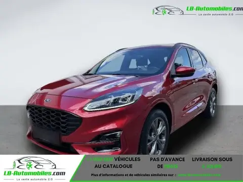 Annonce FORD KUGA Hybride 2021 d'occasion 