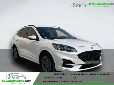 Used FORD KUGA Hybrid 2021 Ad 