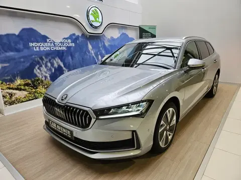 Annonce SKODA SUPERB Diesel 2024 d'occasion 