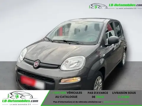 Used FIAT PANDA Petrol 2019 Ad 